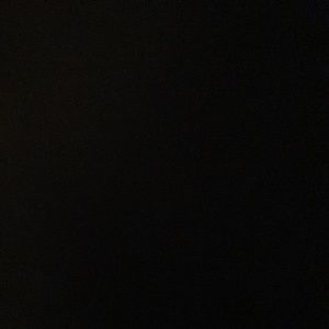 Meet your Posher, Rico